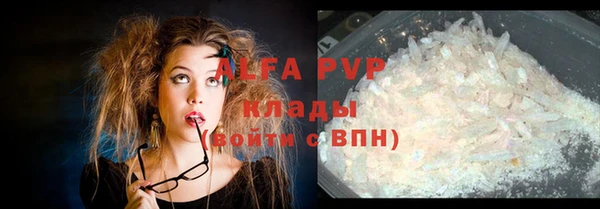 тгк Абаза