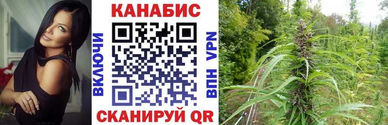 mega вход  Шебекино  Каннабис SATIVA & INDICA  купить наркотики цена 